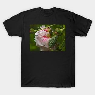 Liquid Peony T-Shirt